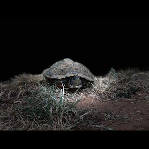 Meet your Posher, Jen